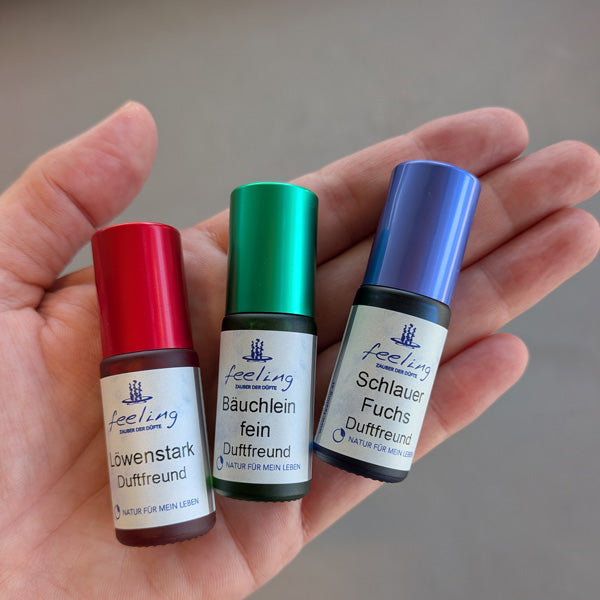 Duftfreunde Aromasticks