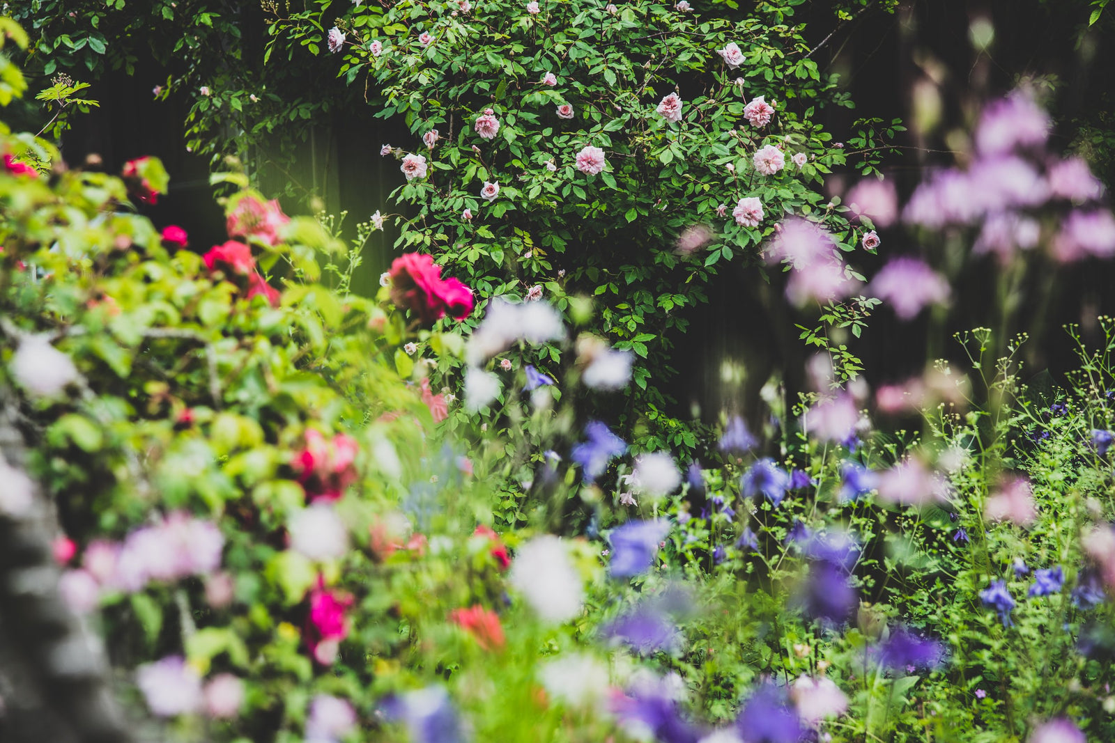 Naturkosmetik mit ätherischen Ölen