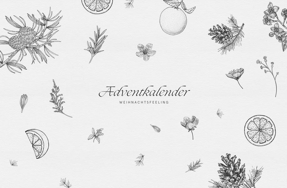 Aroma Adventkalender
