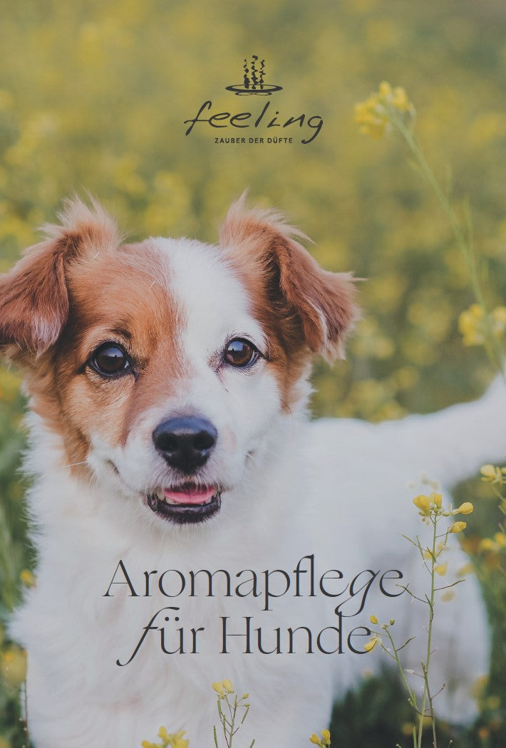 Aromapflegefolder für Hunde