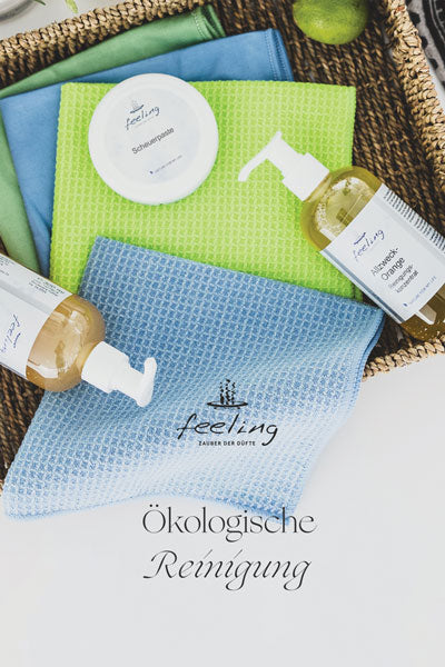 Öko-Reinigungs-Folder