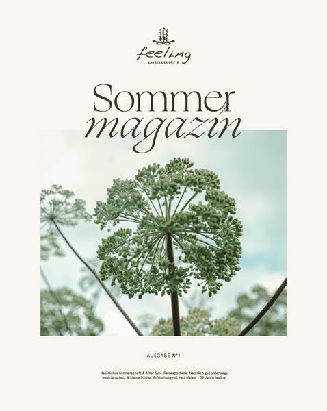 Sommermagazin