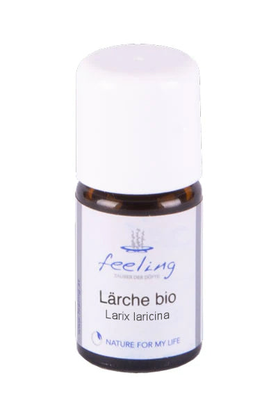 Lärchenöl bio Larix laricina