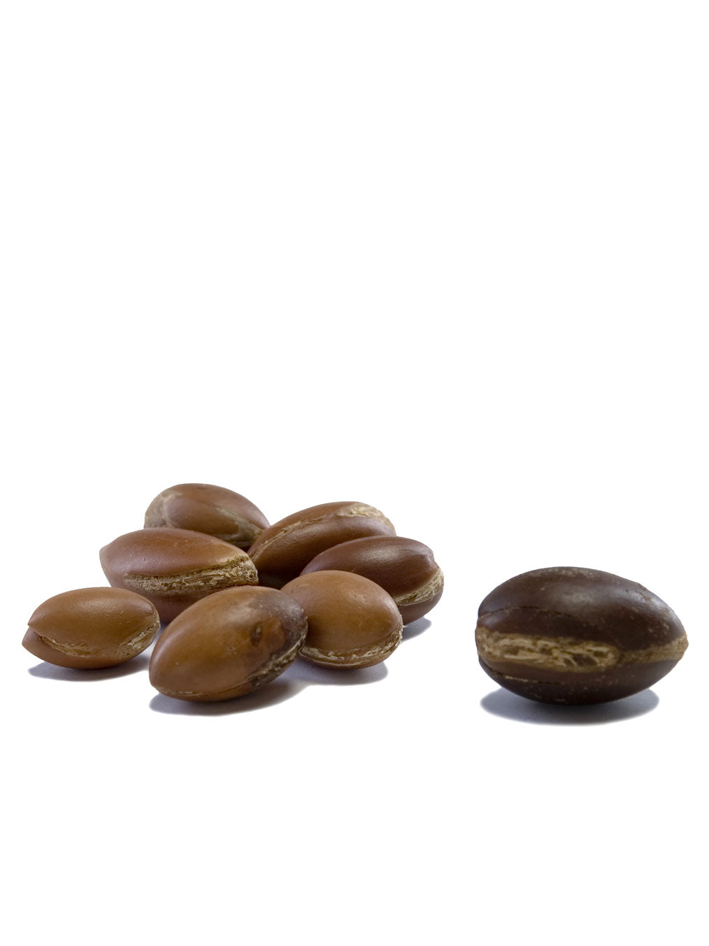 Arganöl nativ bio Argania spinosa