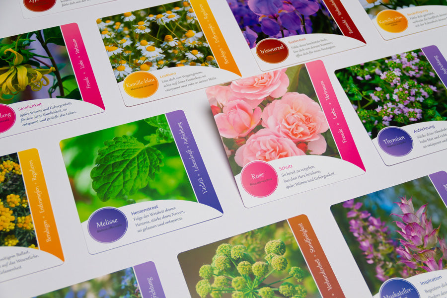 Aromakarten Pflanzenbotschaften