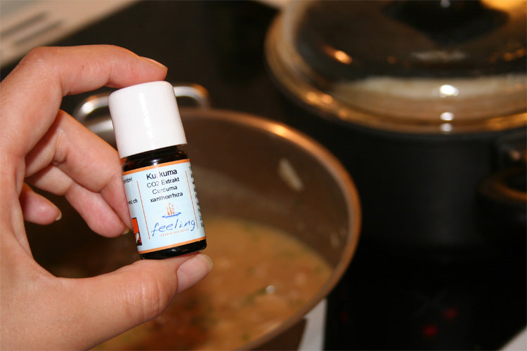 Kurkuma CO2 Extrakt Curcuma Xanthorrhiza