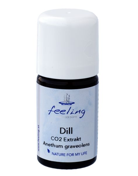 Dillsamen Extrakt CO2 Anethum graveolens