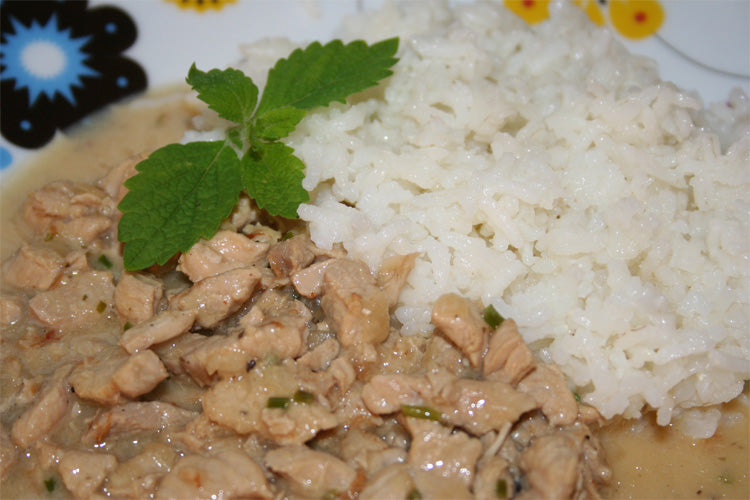 Kurkuma CO2 Extrakt Curcuma Xanthorrhiza