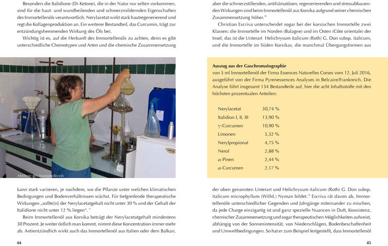 Immortelle, Portrait einer wilden Duft- und Heilpflanze