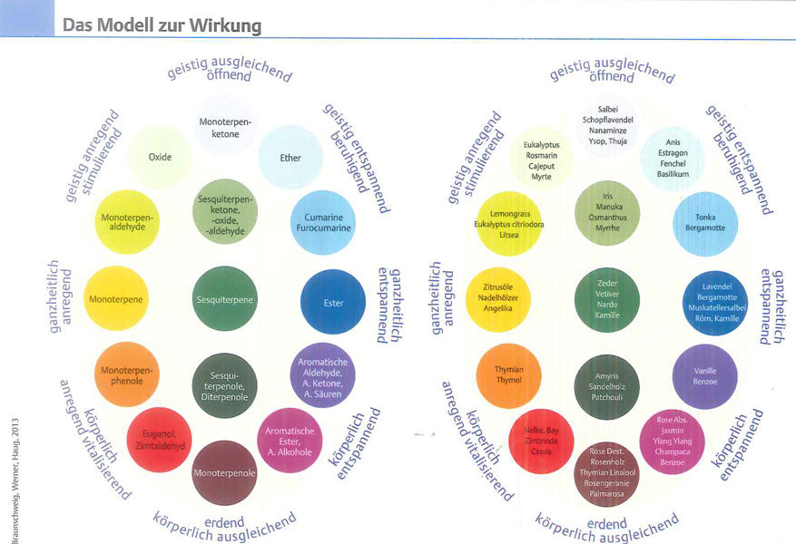 Lernkarten Aromatherapie