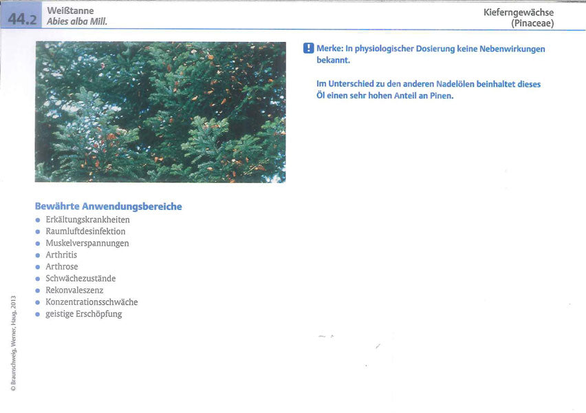 Lernkarten Aromatherapie