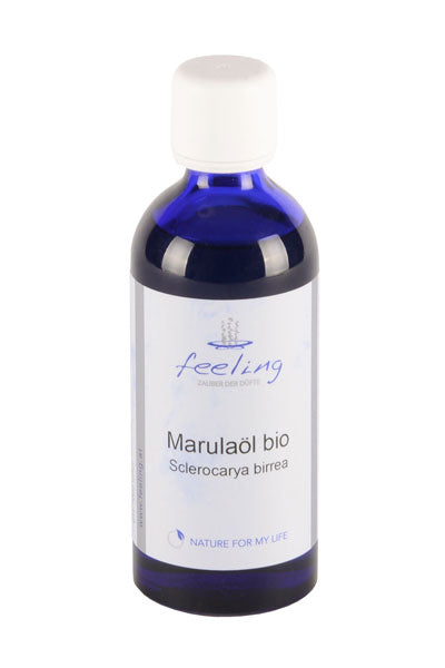 Moringaöl bio | Moringa oleifera seed oil
