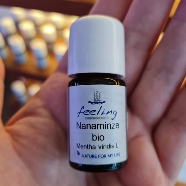Nana Minze bio - Mentha viridis L.