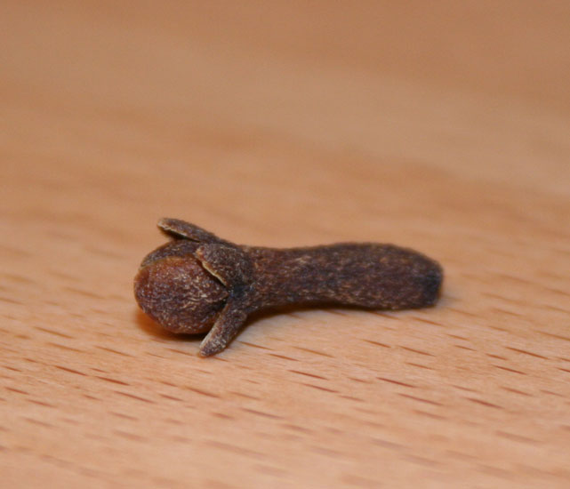 Nelkenknospenöl bio Syzygium aromaticum