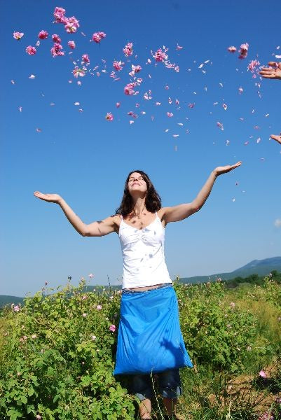 Rosenöl bulgarisch Rosa x damascena