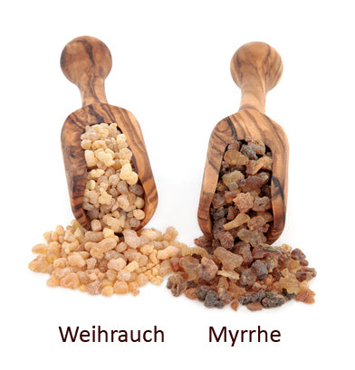 Myrrheöl Wildwuchs Commiphora myrrha